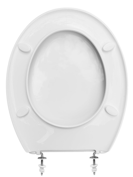 zwykła deska sedesowa.jpg